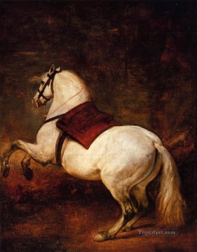 horse cats Painting - The White Horse Diego Velazquez